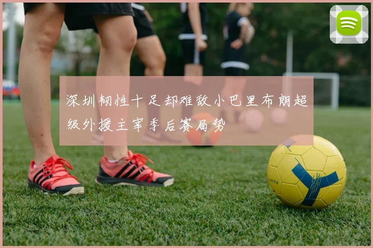 深圳韧性十足却难敌小巴里布朗超级外援主宰季后赛局势